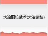 大冶职校武术(大冶武校)