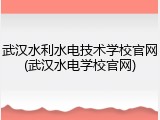 武汉水利水电技术学校官网(武汉水电学校官网)