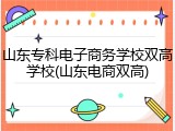 山东专科电子商务学校双高学校(山东电商双高)
