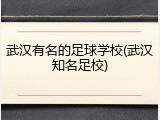 武汉有名的足球学校(武汉知名足校)
