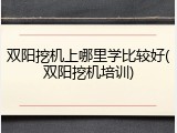 双阳挖机上哪里学比较好(双阳挖机培训)