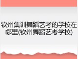 钦州集训舞蹈艺考的学校在哪里(钦州舞蹈艺考学校)