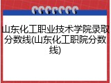 山东化工职业技术学院录取分数线(山东化工职院分数线)