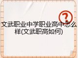 文武职业中学职业高中怎么样(文武职高如何)