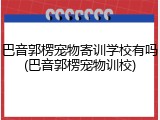 巴音郭楞宠物寄训学校有吗(巴音郭楞宠物训校)