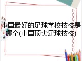 中国最好的足球学校技校是哪个(中国顶尖足球技校)