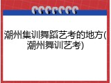潮州集训舞蹈艺考的地方(潮州舞训艺考)