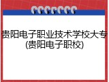 贵阳电子职业技术学校大专(贵阳电子职校)