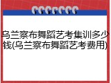 乌兰察布舞蹈艺考集训多少钱(乌兰察布舞蹈艺考费用)