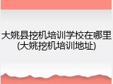 大姚县挖机培训学校在哪里(大姚挖机培训地址)
