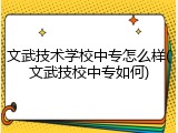 文武技术学校中专怎么样(文武技校中专如何)