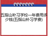 五指山补习学校一年费用多少钱(五指山补习学费)