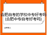 合肥自考的学校中专好考吗(合肥中专自考好考吗)