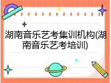 湖南音乐艺考集训机构(湖南音乐艺考培训)