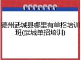 德州武城县哪里有单招培训班(武城单招培训)