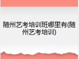 随州艺考培训班哪里有(随州艺考培训)