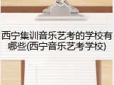 西宁集训音乐艺考的学校有哪些(西宁音乐艺考学校)