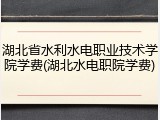 湖北省水利水电职业技术学院学费(湖北水电职院学费)