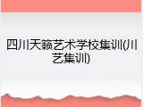 四川天籁艺术学校集训(川艺集训)