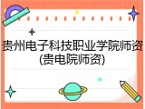 贵州电子科技职业学院师资(贵电院师资)