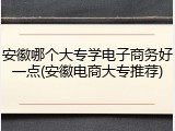 安徽哪个大专学电子商务好一点(安徽电商大专推荐)