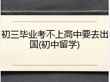 初三毕业考不上高中要去出国(初中留学)