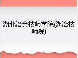湖北冶金技师学院(湖冶技师院)