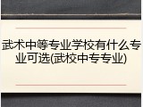 武术中等专业学校有什么专业可选(武校中专专业)