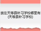 崇左天等县补习学校哪里有(天等县补习学校)