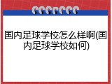国内足球学校怎么样啊(国内足球学校如何)