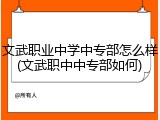 文武职业中学中专部怎么样(文武职中中专部如何)