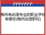 梅州有动漫专业的职业学校有哪些(梅州动漫职校)