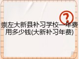 崇左大新县补习学校一年费用多少钱(大新补习年费)