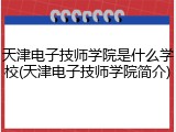 天津电子技师学院是什么学校(天津电子技师学院简介)