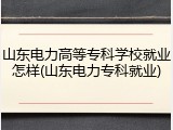 山东电力高等专科学校就业怎样(山东电力专科就业)