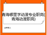 青海哪里学动漫专业职高(青海动漫职高)