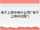 考不上高中有什么用("考不上高中出路")