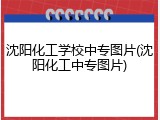 沈阳化工学校中专图片(沈阳化工中专图片)