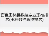 百色田林县数控专业职校排名(田林数控职校排名)