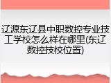 辽源东辽县中职数控专业技工学校怎么样在哪里(东辽数控技校位置)