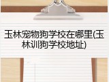 玉林宠物狗学校在哪里(玉林训狗学校地址)