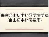 来宾合山初中补习学校学费(合山初中补习费用)