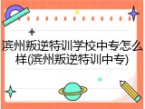 滨州叛逆特训学校中专怎么样(滨州叛逆特训中专)