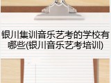 银川集训音乐艺考的学校有哪些(银川音乐艺考培训)