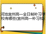 河池宜州高一全日制补习学校有哪些(宜州高一补习校)