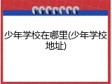 少年学校在哪里(少年学校地址)