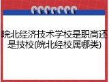 皖北经济技术学校是职高还是技校(皖北经校属哪类)