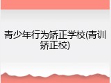 青少年行为矫正学校(青训矫正校)