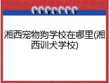 湘西宠物狗学校在哪里(湘西训犬学校)