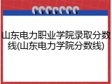 山东电力职业学院录取分数线(山东电力学院分数线)